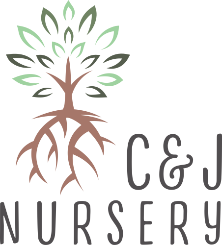C&J Nursery